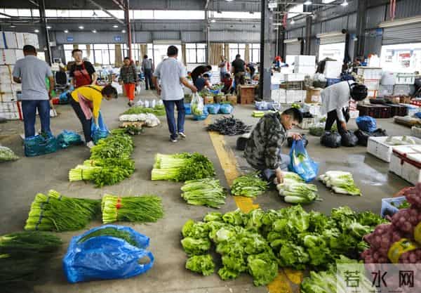 每卖50万TPU赚130亿？谷歌这步棋，要给AI芯片市场“洗牌”？