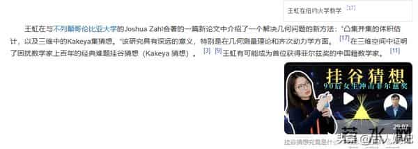韦神和王虹的数学界成就