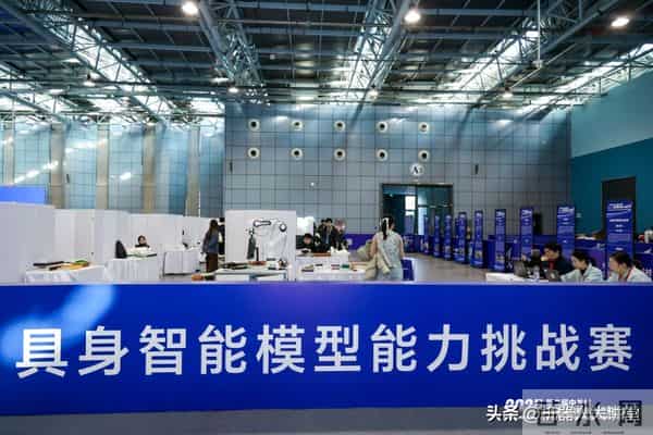 Deepsick团队，2025中关村具身智能模型能力挑战赛大脑赛道一等奖