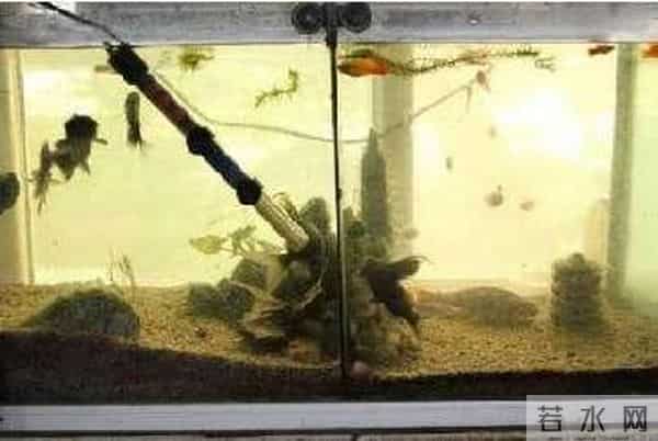 “追随薛社普院士足迹，弘扬科学家精神”系列活动即将启幕