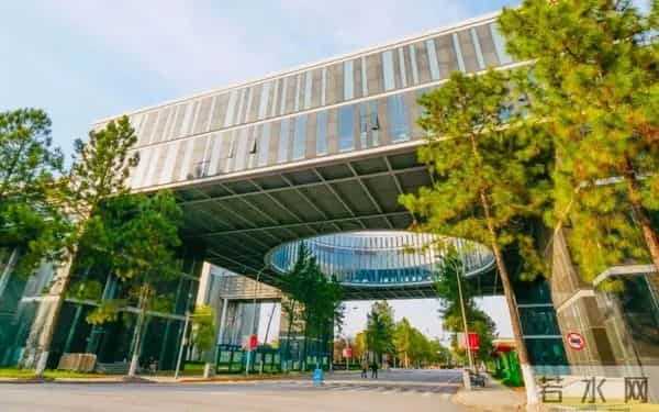 最高荣誉!同济大学教授当选IEEE Fellow!