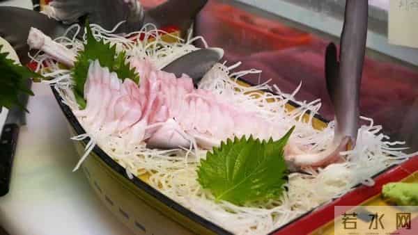 为什么人类只吃鱼翅,却很少听说吃鲨鱼肉?鲨鱼肉真的不好吃吗?