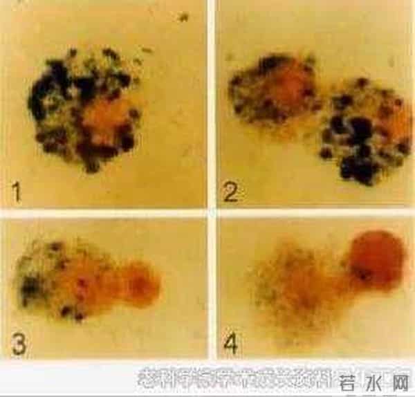 “追随薛社普院士足迹，弘扬科学家精神”系列活动即将启幕