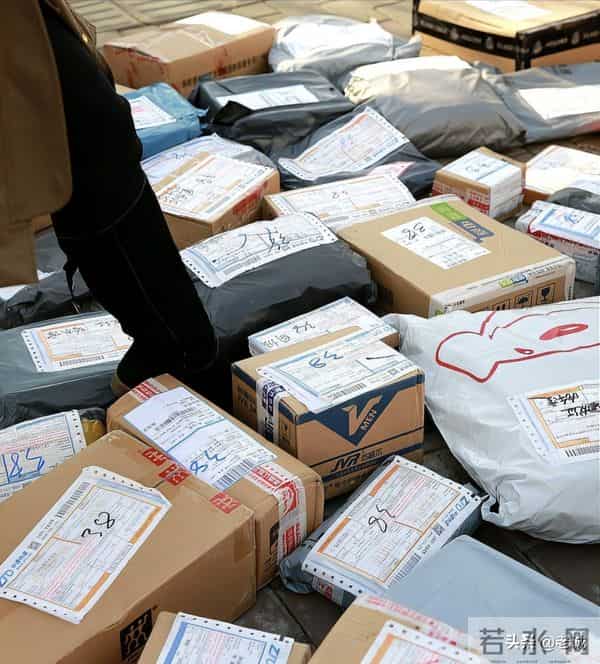 225次“薅羊毛”反被套 5万骗局告破 转账求和遭拒