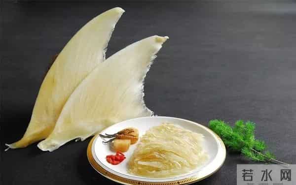 为什么人类只吃鱼翅,却很少听说吃鲨鱼肉?鲨鱼肉真的不好吃吗?