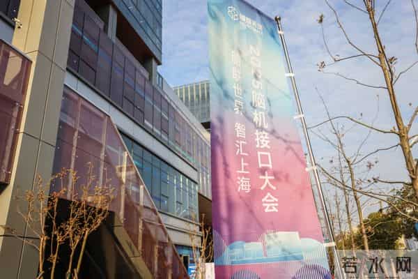 国内首次大规模多赛道脑机接口竞技赛在沪举行，参赛队员平均年龄仅25岁