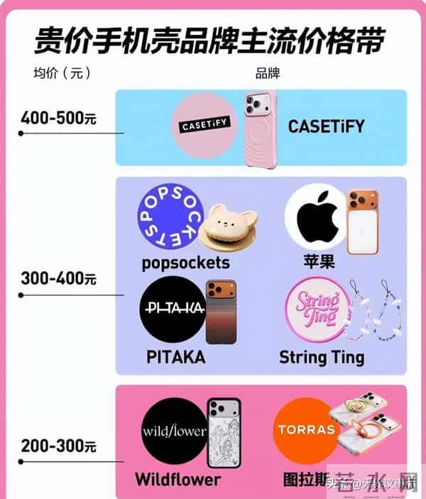 500元手机壳遭疯抢,网红晒单实现翻盘,逆袭成手机壳界爱马仕