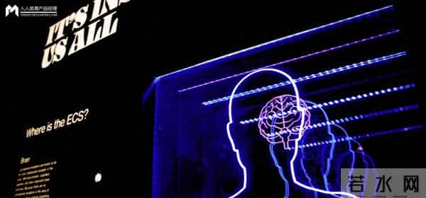 从灵感到MVP：如何设计一款科学记忆工具