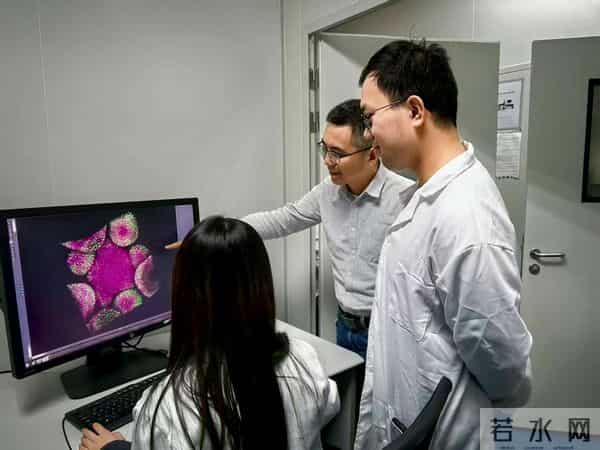 中国科学家新发明,为作物生产和粮食安全打开大门的机制