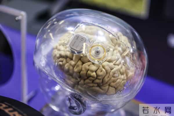 国内首次大规模多赛道脑机接口竞技赛在沪举行，参赛队员平均年龄仅25岁