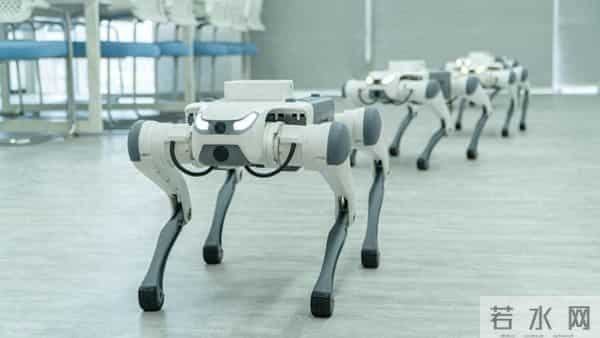 被踢踹后0.5秒站稳,这只深圳造机械霸王龙,藏着哪些黑科技?