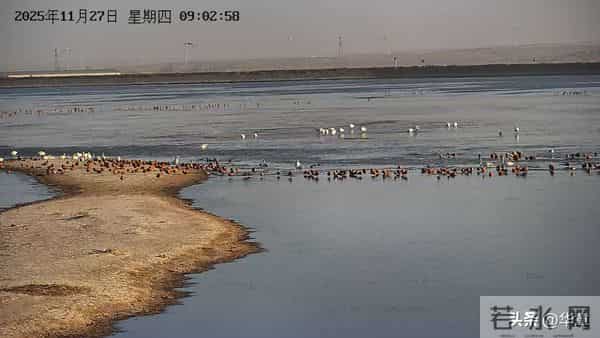 心灯不熄，躬行方致远，从AI时代再读阳明心学的价值