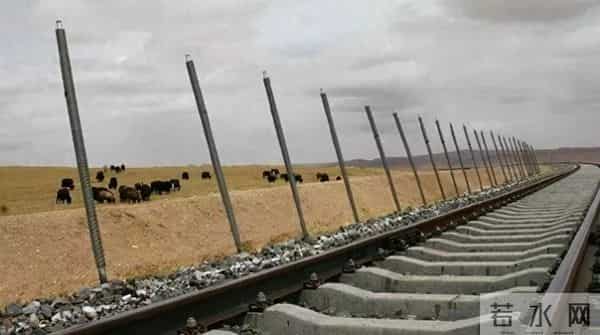 青藏铁路“热棒”
