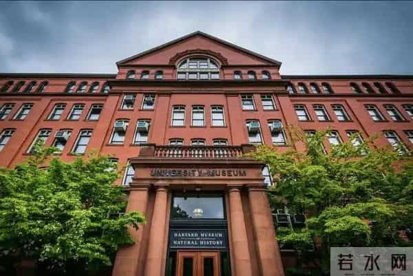 仿生肌腱技术横空出世，美突破机器人30倍力量技术，速度三倍提升