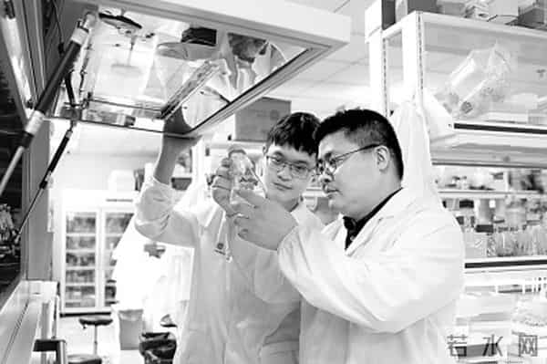 江南大学食品合成生物学与生物制造团队:以“细胞工厂”探寻食品未来