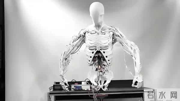仿生肌腱技术横空出世，美突破机器人30倍力量技术，速度三倍提升