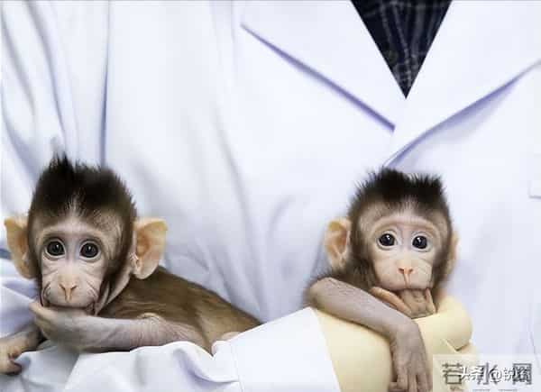 换脑试验领跑全球!9500万抑郁症患者有救?国家给出新方案