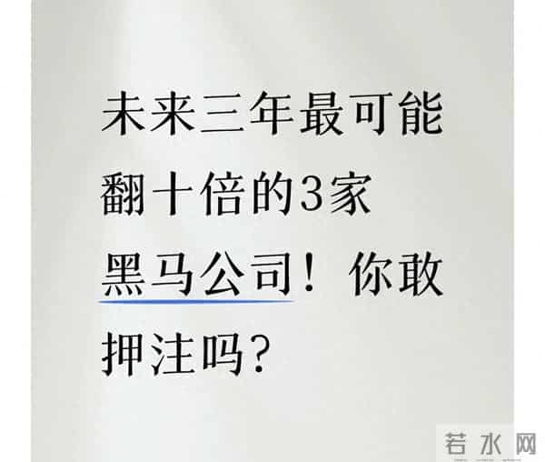 未来三年最可能翻十倍的3家黑马公司！你敢押注吗？