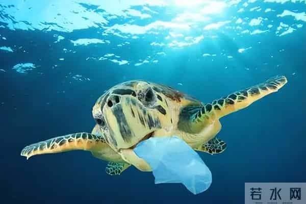 史前文明证据一亿多年前的地层,惊现大量被“铁钉”穿喉杀死的鱼