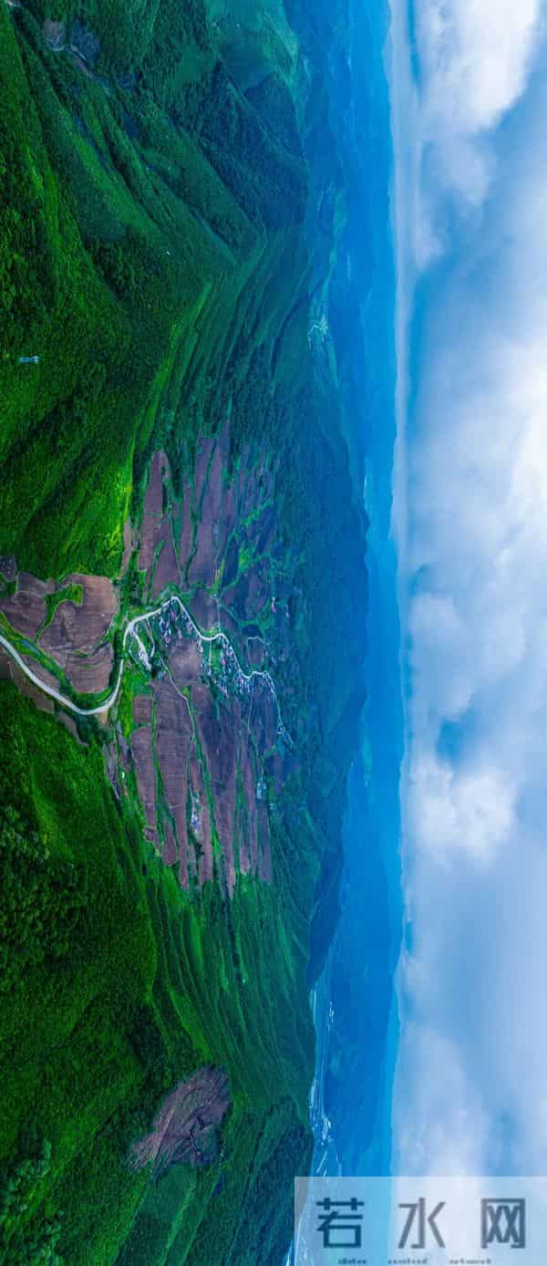 这种辽宁“含金量”,全国最高!