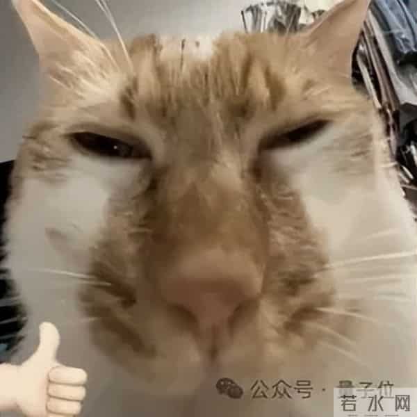 DeepSeek-V3.2系列开源，性能直接对标Gemini-3.0-Pro