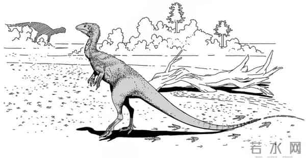 四川自贡一村民用了多年的垫脚石,竟是重要的恐龙化石?