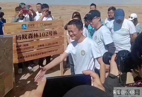 马云斥巨资在沙漠里种树，承诺每年1亿棵，9年过去了，树怎样了？