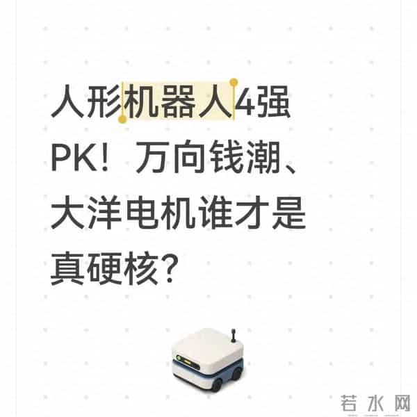 万向靠特斯拉赚钱，大洋电机技术强却没单？