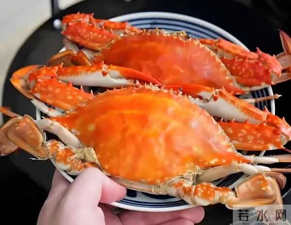科学家发现，螃蟹其实是有“痛觉的”，以后吃螃蟹的时候，你还忍心活煮吗？