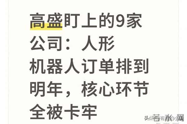高盛盯上的9家公司:人形机器人订单排到明年,核心环节全被卡牢