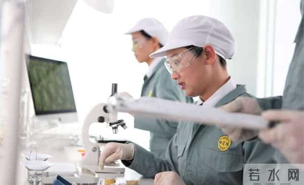 75岁芯片大佬潜逃美国！带核心技术机密，中国半导体经济警报拉响