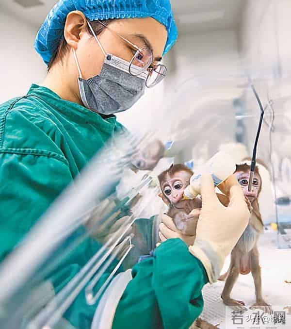 换脑试验领跑全球!9500万抑郁症患者有救?国家给出新方案