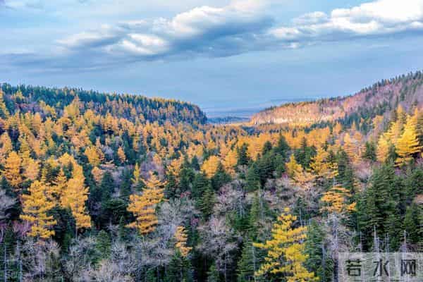 锡霍特山脉：东北虎的绿色堡垒，这里面还藏着多少秘密呢？