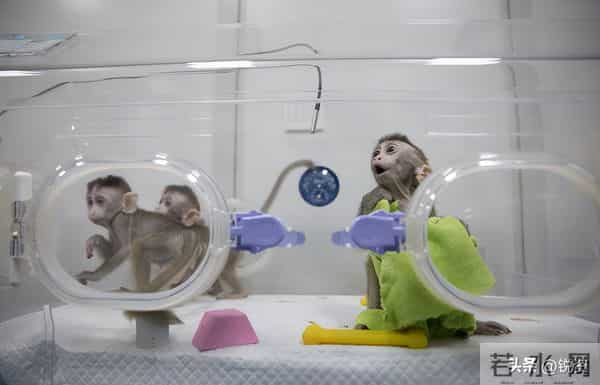 换脑试验领跑全球!9500万抑郁症患者有救?国家给出新方案