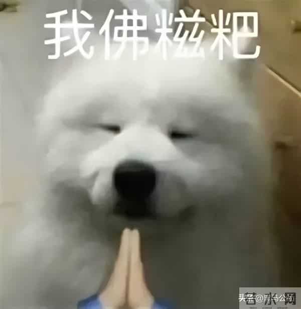 千问上线了个免费的“文档编辑”，我想把办公会员都退了