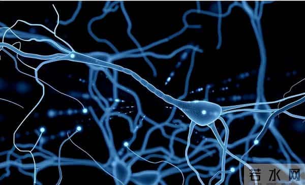 破局!阿尔茨海默病迎来克星,Sox9 激活大脑保洁队,记忆能保住了