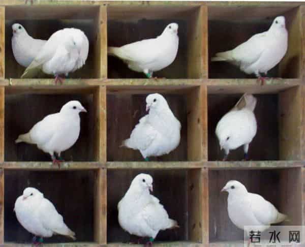 清华姚班大神陈立杰，联手00后逆向破局，颠覆50年计算机难题