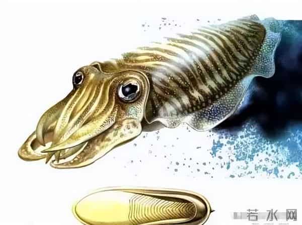 史前文明证据一亿多年前的地层,惊现大量被“铁钉”穿喉杀死的鱼