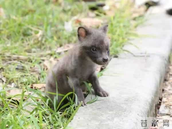 上海又有两区出现！有小区密度奇高，原因找到→