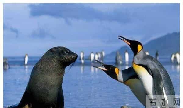 振奋！我国收复南海这一最大全球级环礁，有望规划为国际都市