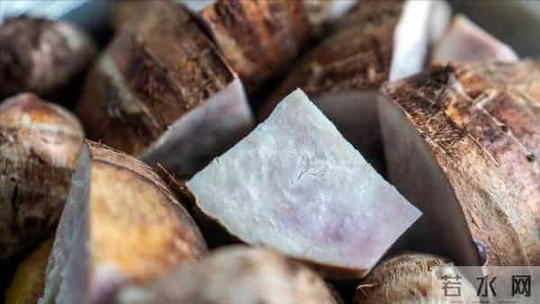 芋头立大功？医学研究：芋头可在15小时内清除46%肠道废物？