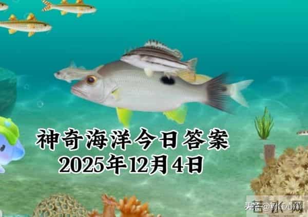 2025年12月4日蚂蚁庄园蚂蚁新村神奇海洋今日最新答案
