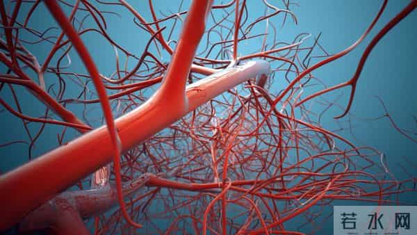 香烟或要被洗白？中科院的颠覆性研究，尼古丁可降低62%死亡率？