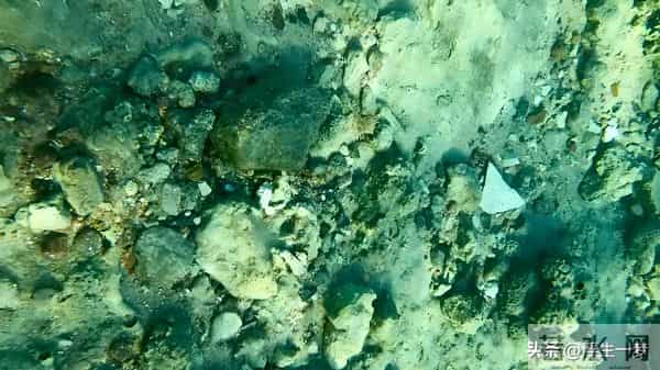 日本藏了12年的稀土矿,够全球用730年,为啥至今不敢挖?