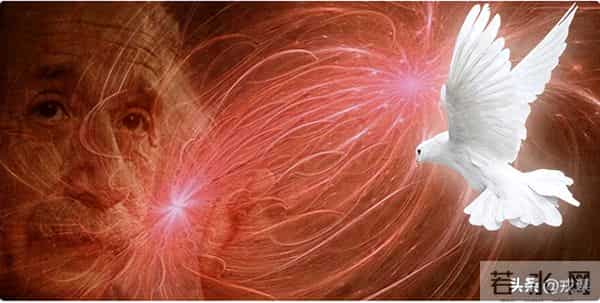 别争了！鸽子导航秘密曝光，既不靠眼也不靠嘴，全靠内耳