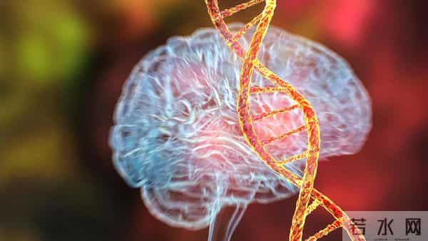 科学家发现首个被证实可直接导致精神疾病的基因