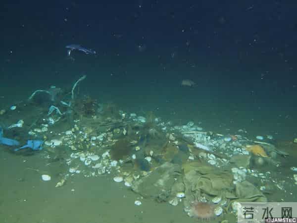 联合国66国报告实锤!1200万吨垃圾正覆盖全球超六成深海!