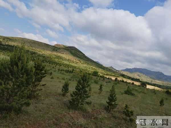 马云斥巨资在沙漠里种树，承诺每年1亿棵，9年过去了，树怎样了？