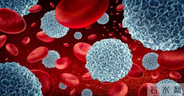 癌症"终结者"来了？解密通用癌症疫苗的原理与突破性进展