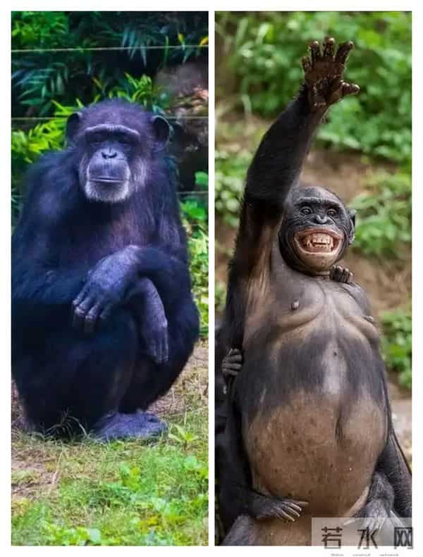 全世界最反差的河流，一面温柔似水，一面暴跳如雷！